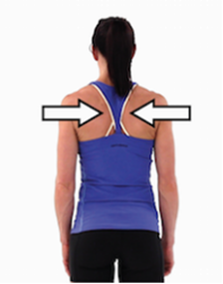 A person is shown from the back with a dark brown ponytail and a blue, razor-back tank top. Arrows indicate how the person squeezes their shoulder blades to exercise their rotator cuff.
